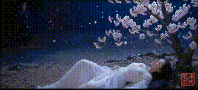图片[6]-分享一个小短片AI小龙女与尹志平的那一夜-闲聊吹水论坛-社区系统-老王资源部落
