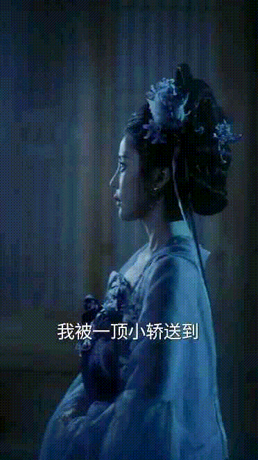 图片[11]-【AI古装真人成人剧】槿乔1-11集-闲聊吹水论坛-社区系统-老王资源部落
